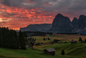 Sunrise on the Sassolungo / The Alpe di Siusi is a Dolomite plateau located in Italy, in South Tyrol, within the territory of the municipality of Castelrotto.

From the alp you can enjoy a 360° panoramic view; from the north in a clockwise direction: the Sass de Putia (2,873 m), the Gruppo delle Odle e del Puez (3,025 m), the Gran Cir, the Gruppo del Sella (3,152 m), the Sassolungo (3.181 m) and Sassopiatto (2,995 m), the Marmolada (3,343 m), the San Martino shovels, the Vajolet towers, the Catinaccio group (2,981 m), with the summit of the Catinaccio d'Antermoia (3,002 m), and the Sciliar (2,450 m).