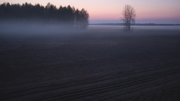 Morgendämmerung / ***