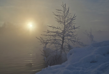 Kältesten Januar / ***