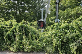 &nbsp; / Luszhki-village, Istra-district, Moscow region, Russia