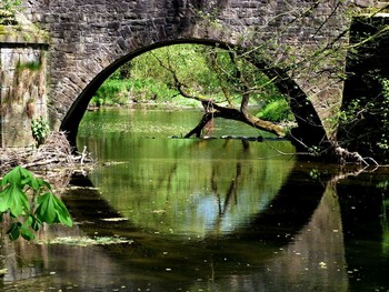 Durchblick / ein kleiner Fluss, eine alte Brücke und ein alter Baum
die Nethe, ein Nebenfluss der Weser