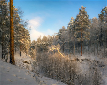 Winterwald / ***