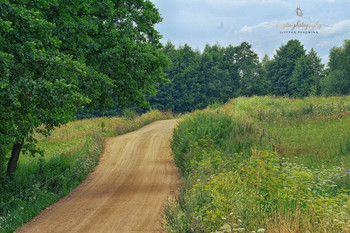 Przyroda / Natura w pełni rozkwita