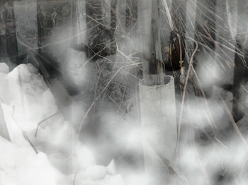 Winter / ***