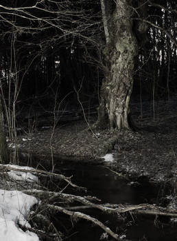 Wintermärchen. / ***