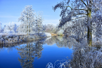 Magical winter time / So einen ruhigen Wintermorgen mit seiner Kamera zu erleben, war schon ein Highlight. Dann das Ganze noch vor seiner Tür zu haben, das nenne ich Glück