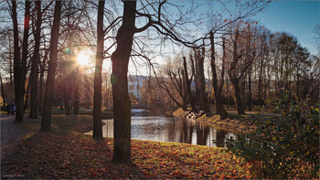 Im Herbst Park / ***