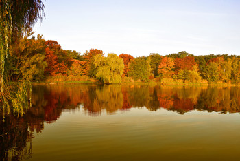 Autumn colors in the still lake / Spiegelbilder haben etwas faszinierendes an sich und im Herbst gefallen sie mir am Besten