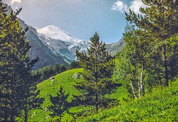 Elbrus / ***