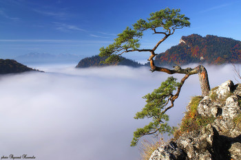 Above fog / Pieniny mountains - Poland. 
Thanks for your visit, recommendations and comments