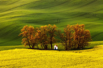 St.Barbara Chapel / South Moravia