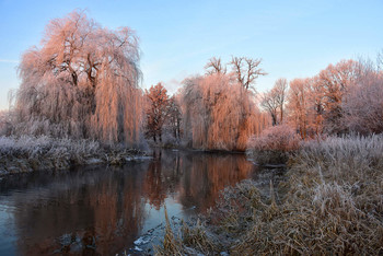 Morning by the silent River / Wieder ein schöner Wintermorgen an der ruhigen Aller. So ein tolles Wetter musste man ausnutzen, um euch die Schönheit dieser Natur zu zeigen, ich hoffe es gefällt euch !