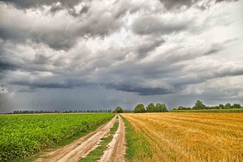 Vor dem Sturm / ***