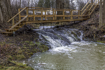 Bridging the Stream / This new walkway was bridging the stream that was flowing fast after the rains