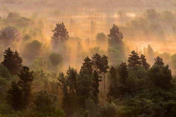 Die Sonne stieg / ***