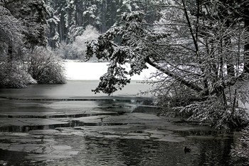 Auf dem See / ***