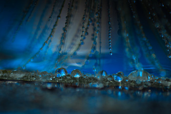 Azules chispeantes / Pruebas de un pequeño laboratorio.