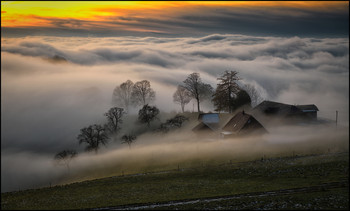 Sonnenuntergang über dem Nebel / Nebelwelle im Naturpark Gantrisch Schweiz