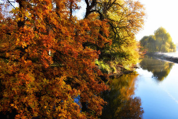 Like a painted autumn picture / Es sah aus wie ein Gemälde, ich habe mit meiner Kamera gemalt