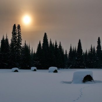 Winterabend. / ***