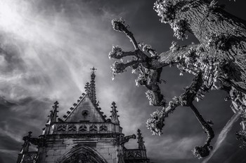 Schloss Amboise. / ***