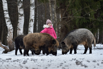 &nbsp; / [img]https://i.imgur.com/KQqm5Rw.jpg[/img]
