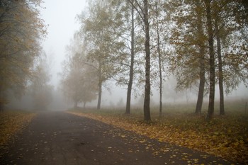 Straße im Herbst / ***