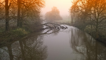 The flow of horror / Es war ein Tag im November und der Fluss sah mit den knorrigen Bäumen ein wenig gespenstisch aus