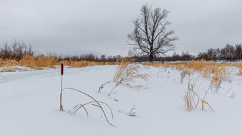 Der Winter kam / ***