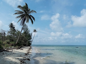 Am Strand / ***