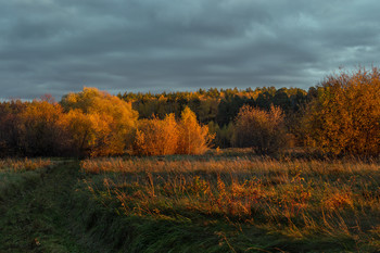 Colors of autumn sunset / ***