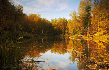 Herbsttage Charme / ***