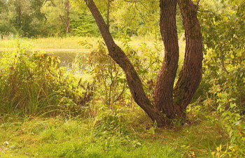 September Study / ***