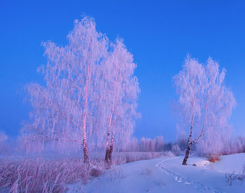 Herbst Morgendämmerung / ***