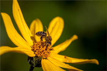 Bei der Arbeit / ***