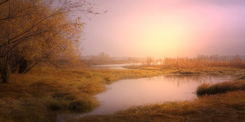 Herbstnebel ... / ***