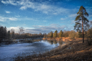 February the grounds of Priory Park. Gatchina. / February in the Park. Leningrad region. Russia.