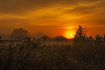 Herbstnebel / ***