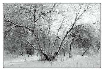 Winter-Etüde / ***