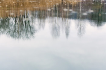 Spiegelung / ***