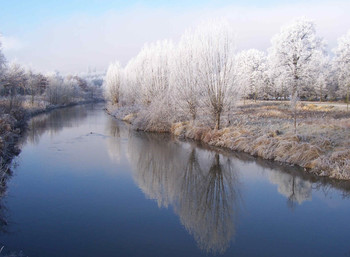 Winterliche Spiegelung / Die Bäume sahen aus, wie mit Puderzucker besprenkelt, dann diese Spiegelung dazu und die Komposition war perfekt