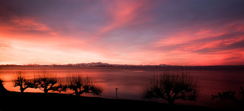 Guten Morgen / Bodensee am frühen Morgen. wieder einer dieser fabelhaften Sonnenaufgänge