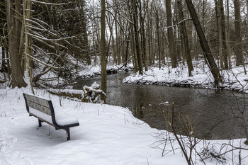 Winters Day in Park / This beautiful winters day in the park was one to enjoy