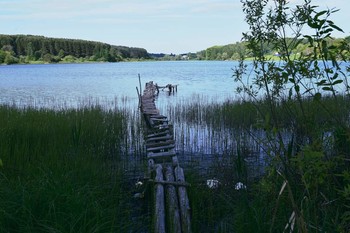 Auf dem Teich / ***