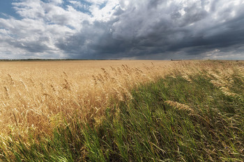 Der Wind auffrischt / ***