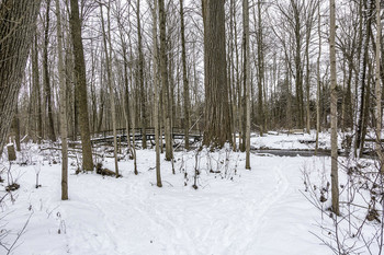 Beautiful Park in Winter / This park is really beautiful in the snow of winter