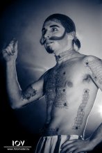 DALI / ***