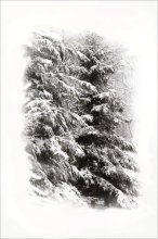Eine solche Schneefall ... / ***