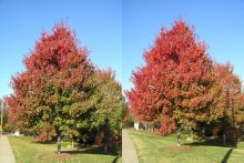 7 Tage im November / ***