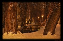 Nacht im Park / ***